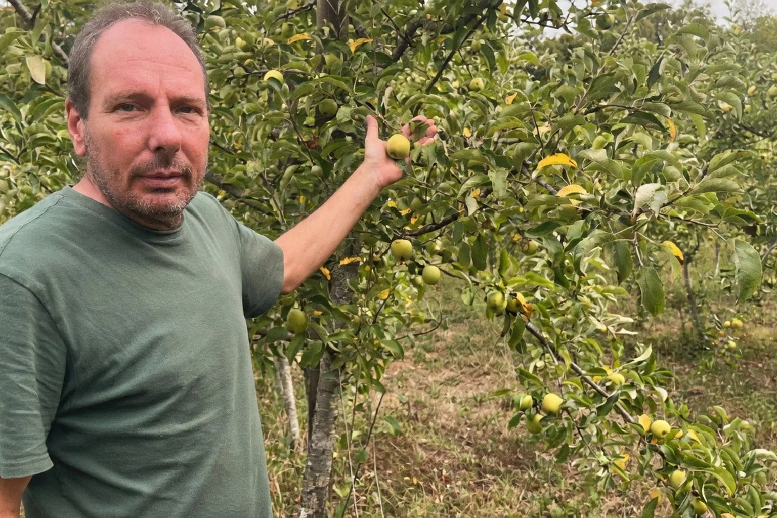 Vergers de Devecey : 90 % de récolte perdue face aux canicules extrêmes